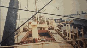 Odoo CMS - Gallery sample