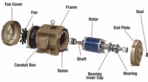 Odoo CMS - Gallery sample